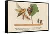 There Was an Old Man in a Tree, Who Was Terribly Bored by a Bee-Edward Lear-Framed Stretched Canvas