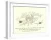 There Was an Old Man in a Tree, Whose Whiskers Were Lovely to See-Edward Lear-Framed Giclee Print