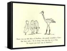 There Was an Old Man of Dunblane, Who Greatly Resembled a Crane-Edward Lear-Framed Stretched Canvas