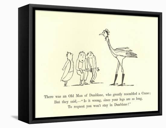 There Was an Old Man of Dunblane, Who Greatly Resembled a Crane-Edward Lear-Framed Stretched Canvas