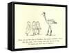 There Was an Old Man of Dunblane, Who Greatly Resembled a Crane-Edward Lear-Framed Stretched Canvas