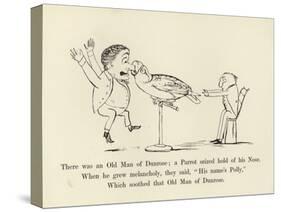 There Was an Old Man of Dunrose; a Parrot Seized Hold of His Nose-Edward Lear-Stretched Canvas