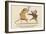 There Was an Old Man of the Cape, Who Possessed a Large Barbary Ape-Edward Lear-Framed Giclee Print