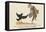 There Was an Old Man of Whitehaven, Who Danced a Quadrille with a Raven-Edward Lear-Framed Stretched Canvas