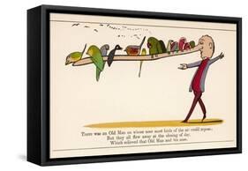 There was an Old Man on Whose Nose Most Birds of the Air Could Repose-Edward Lear-Framed Stretched Canvas