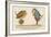 There Was an Old Man Who Said, 'Hush! I Perceive a Young Bird in This Bush!'-Edward Lear-Framed Giclee Print
