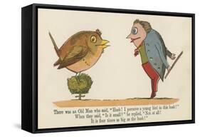There Was an Old Man Who Said, 'Hush! I Perceive a Young Bird in This Bush!'-Edward Lear-Framed Stretched Canvas