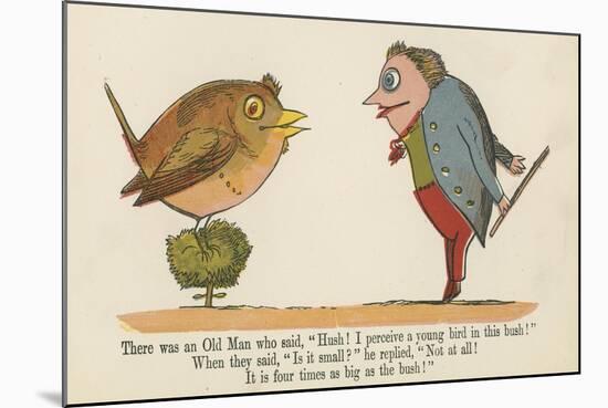 There Was an Old Man Who Said, 'Hush! I Perceive a Young Bird in This Bush!'-Edward Lear-Mounted Giclee Print