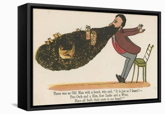There Was an Old Man with a Beard, Who Said, 'It Is Just as I Feared!'-Edward Lear-Framed Stretched Canvas