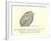 There Was an Old Person of Brigg, Who Purchased No End of a Wig-Edward Lear-Framed Giclee Print