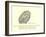 There Was an Old Person of Brigg, Who Purchased No End of a Wig-Edward Lear-Framed Giclee Print