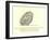 There Was an Old Person of Brigg, Who Purchased No End of a Wig-Edward Lear-Framed Giclee Print