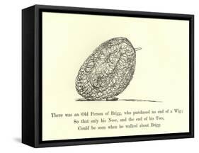 There Was an Old Person of Brigg, Who Purchased No End of a Wig-Edward Lear-Framed Stretched Canvas