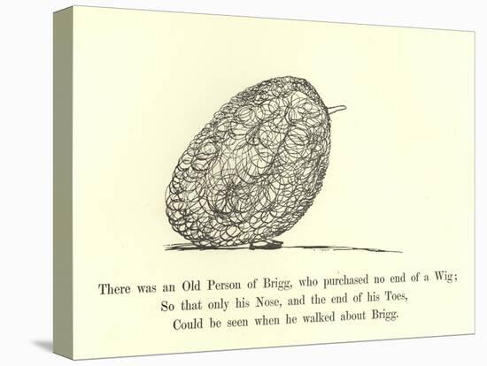 There Was an Old Person of Brigg, Who Purchased No End of a Wig-Edward Lear-Stretched Canvas