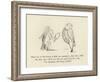 There Was an Old Person of Brill, Who Purchased a Shirt with a Frill-Edward Lear-Framed Giclee Print