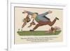 There Was an Old Person of Dover, Who Rushed Through a Field of Blue Clover-Edward Lear-Framed Giclee Print