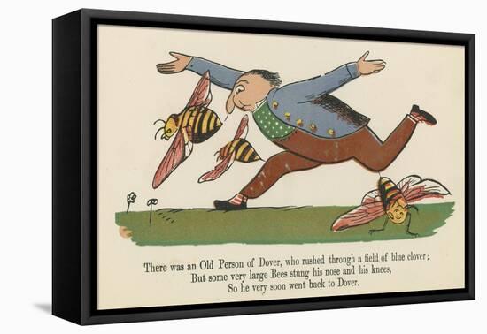 There Was an Old Person of Dover, Who Rushed Through a Field of Blue Clover-Edward Lear-Framed Stretched Canvas