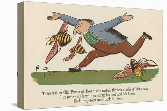 There Was an Old Person of Dover, Who Rushed Through a Field of Blue Clover-Edward Lear-Stretched Canvas