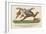 There Was an Old Person of Dover, Who Rushed Through a Field of Blue Clover-Edward Lear-Framed Giclee Print