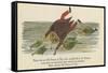 There Was an Old Person of Ems, Who Casually Fell in the Thames-Edward Lear-Framed Stretched Canvas