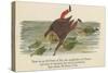 There Was an Old Person of Ems, Who Casually Fell in the Thames-Edward Lear-Stretched Canvas