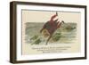 There Was an Old Person of Ems, Who Casually Fell in the Thames-Edward Lear-Framed Giclee Print