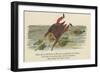 There Was an Old Person of Ems, Who Casually Fell in the Thames-Edward Lear-Framed Giclee Print