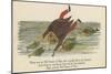 There Was an Old Person of Ems, Who Casually Fell in the Thames-Edward Lear-Mounted Giclee Print