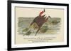 There Was an Old Person of Ems, Who Casually Fell in the Thames-Edward Lear-Framed Giclee Print