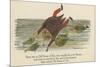 There Was an Old Person of Ems, Who Casually Fell in the Thames-Edward Lear-Mounted Giclee Print