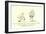 There Was an Old Person of Filey, of Whom His Acquaintance Spok Highly-Edward Lear-Framed Giclee Print