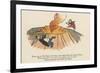 There Was an Old Person of Gretna, Who Rushed Down the Crater of Etna-Edward Lear-Framed Giclee Print