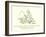 There Was an Old Person of Ickley, Who Could Not Abide to Ride Quickly-Edward Lear-Framed Giclee Print
