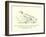 There Was an Old Person of Nice, Whose Associates Were Usually Geese-Edward Lear-Framed Giclee Print