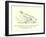 There Was an Old Person of Nice, Whose Associates Were Usually Geese-Edward Lear-Framed Giclee Print