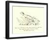 There Was an Old Person of Nice, Whose Associates Were Usually Geese-Edward Lear-Framed Giclee Print