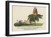 There Was an Old Person of Philae, Whose Conduct Was Scroobious and Wily-Edward Lear-Framed Giclee Print