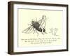 There Was an Old Person of Rye, Who Went Up to Town on a Fly-Edward Lear-Framed Giclee Print