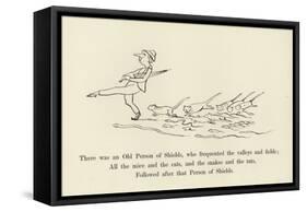 There Was an Old Person of Shields, Who Frequented the Valleys and Fields-Edward Lear-Framed Stretched Canvas