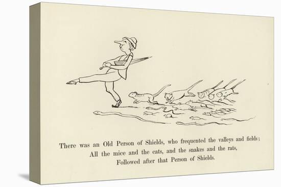 There Was an Old Person of Shields, Who Frequented the Valleys and Fields-Edward Lear-Stretched Canvas