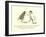 There Was an Old Person of Skye, Who Waltz'D with a Bluebottle Fly-Edward Lear-Framed Giclee Print