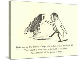 There Was an Old Person of Skye, Who Waltz'D with a Bluebottle Fly-Edward Lear-Stretched Canvas