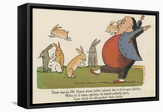 There Was an Old Person Whose Habits Induced Him to Feed Upon Rabbits-Edward Lear-Framed Stretched Canvas