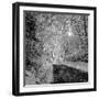 There you Are-Tomislav Bogovic-Framed Premium Photographic Print