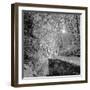 There you Are-Tomislav Bogovic-Framed Photographic Print