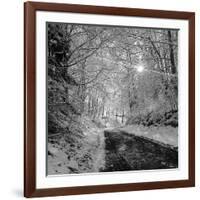 There you Are-Tomislav Bogovic-Framed Photographic Print