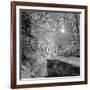 There you Are-Tomislav Bogovic-Framed Photographic Print