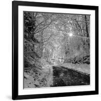 There you Are-Tomislav Bogovic-Framed Photographic Print