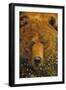 Theres A Bear In There-Graeme Stevenson-Framed Giclee Print