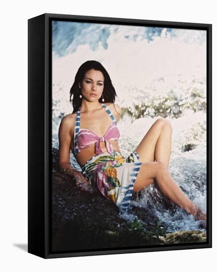 Theresa Russell-null-Framed Stretched Canvas